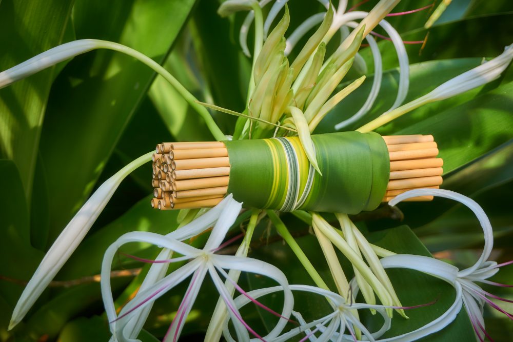 https://bamboostep.com/wp-content/uploads/2018/10/Straws-in-Flower-e1540119411603.jpg